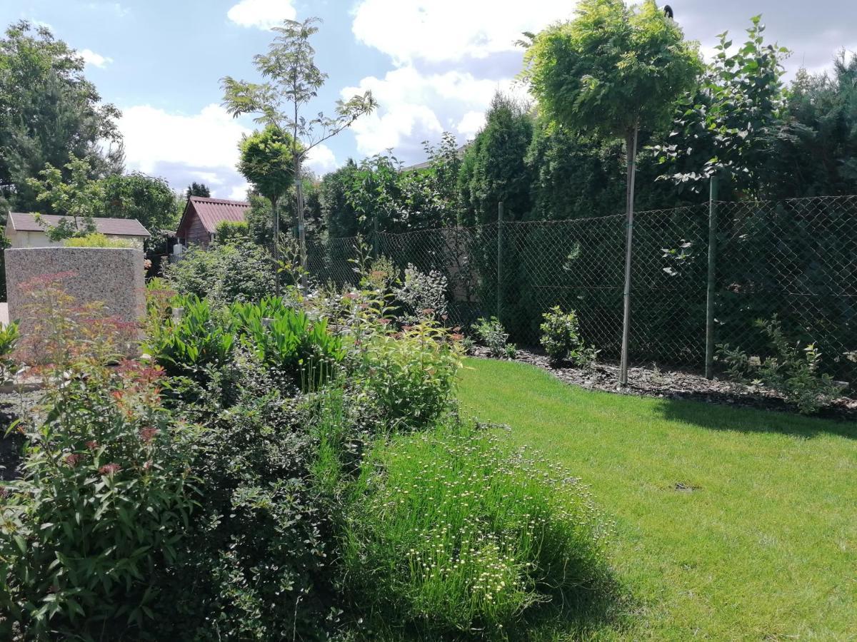 Levélke Mini Apartman Gárdony Esterno foto